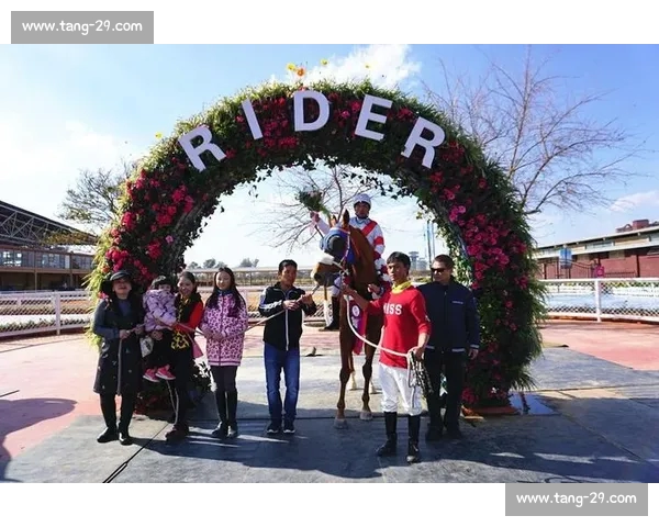 一站式权威体育赛事资讯互动指南与体育官网入口服务平台综合安全