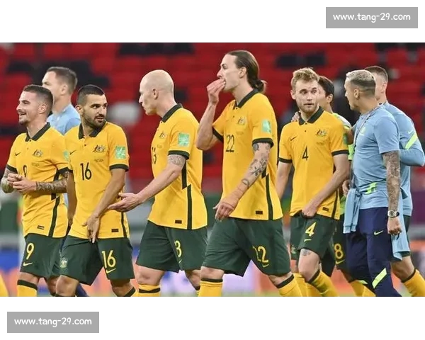 世界杯历史数据解析:各国表现、冠军争夺与进球记录深度分析